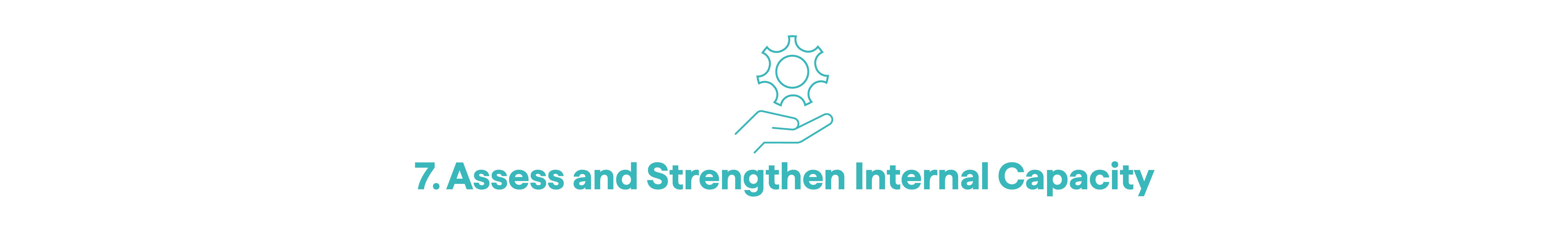 7. Assess and Strengthen Internal Capacity