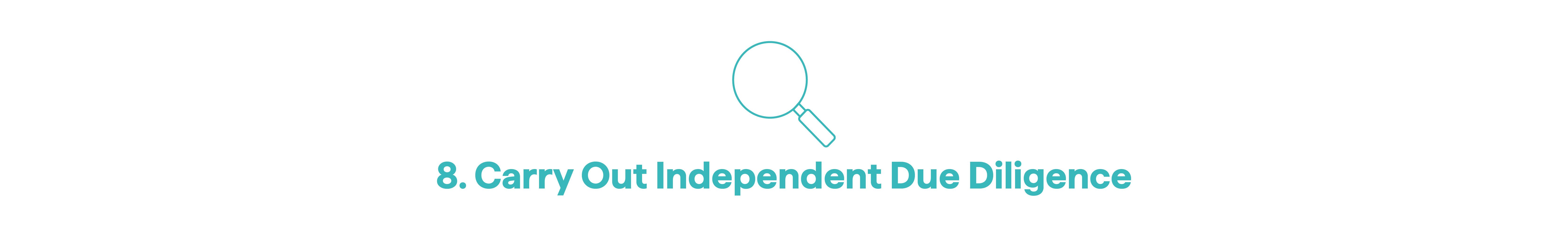8. Carry Out Independent Due Diligence